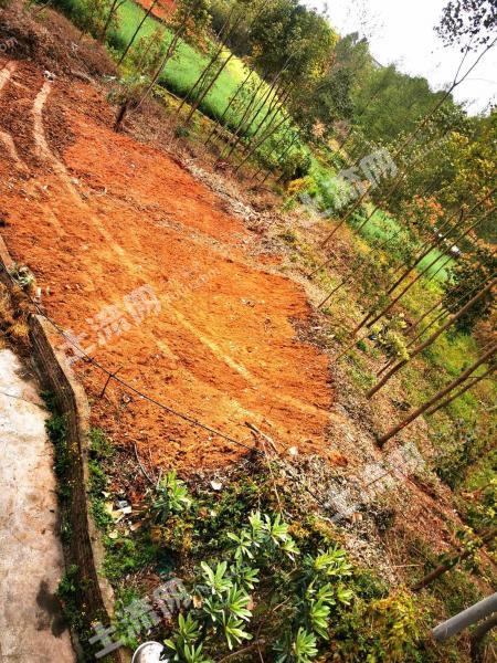 四川绵阳安州区290438.62平米使用权出租(4)